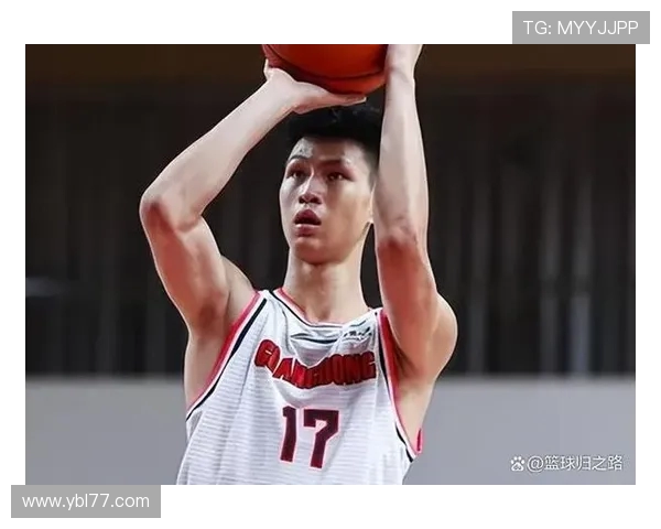 武汉篮球队近期状态分析与表现评估探讨